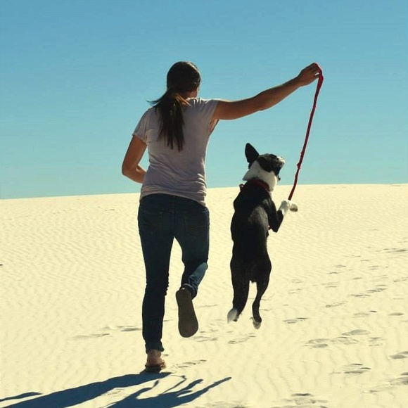 Meet your Posher, Hannah - Picture 1 of 1